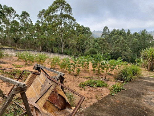 Imagem 20 de 29 de Oportunidade Chacara Biuna 2.000 M Casa,pomar,horta E Murada