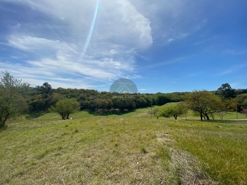 Hermoso Terreno Alto En Barrio Colinas Del Golf