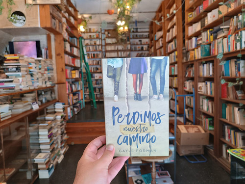 Perdimos Nuestro Camino. Gayle Forman. (Usado)
