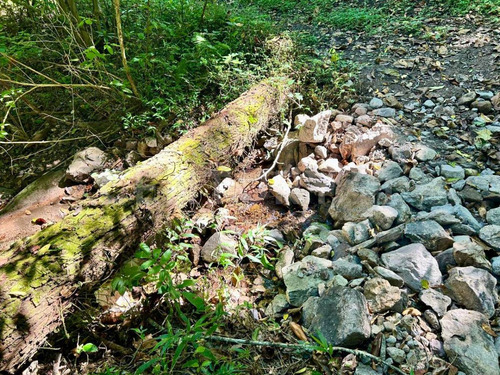 Terreno En Venta En San Sebastian Del Oeste