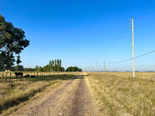 Venta Chacra 10 Hectareas Cañuelas Buenos Aires