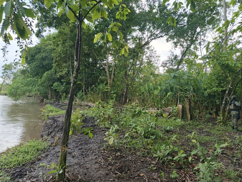 Finca Cienaga Del Opon