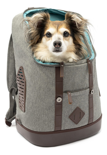 Mochila Kurgo Dog Carrier Para Pequenas Mascotas - Perros Y 