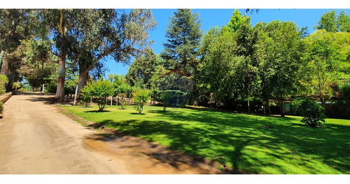 Excelente! A Orilla De Lago Rapel 8850 M2 Terreno