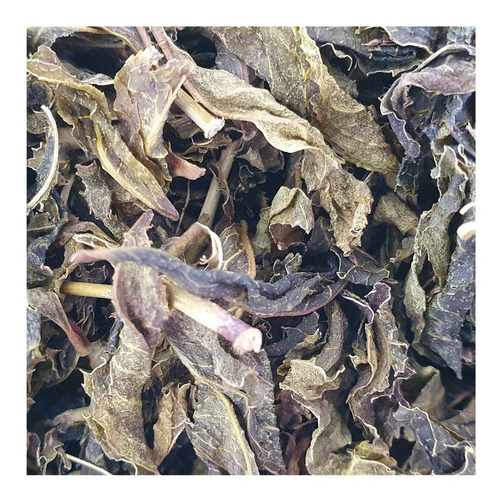 Doña Irma: Té Verde Artesanal Secado Al Vapor Hebras 1kg