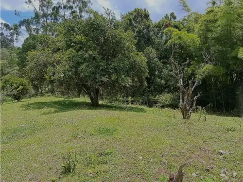 Finca Independiente En Rionegro(mls#242540)