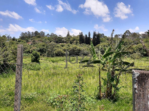 Chácara Com 2 Dormitórios À Venda, 16000 M² Por R$ 1.000.000,00 - Bom Retiro - Bragança Paulista/sp - Ch0576