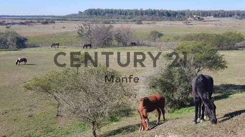 Imagen 18 de 30 de Venta Casa 4 Ambientes Ramallo, Country Estancia Federal