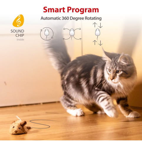 Juguetes Interactivos Para Ejercicio De Gatos Con Sonido Rea