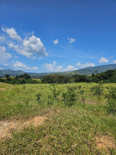 Sky Group Elite Vende Finca Agropecuaria Triple P Ubicada En Nirgua Sector Temerla Edo Yaracuy Consta De 49.7324mtrs2