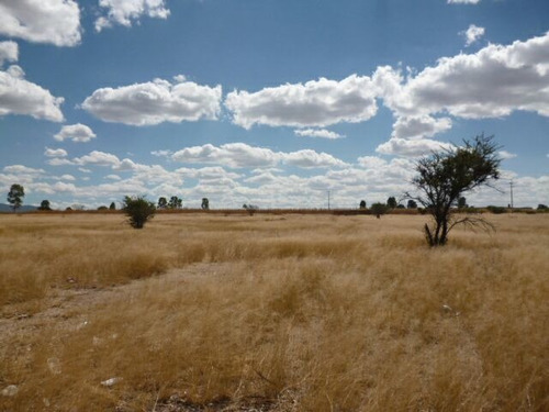 Imagen 13 de 15 de Oportunidad M2 En $132.00 En Montoro 10,500 M2 De Terreno.