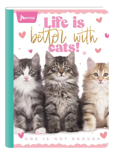 comprar Libreta Cosida Norma 100 Hojas Cats Con Stickers