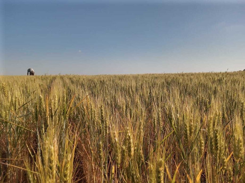 Imagen 3 de 11 de Vendo Campo En La Paz Entre Ríos