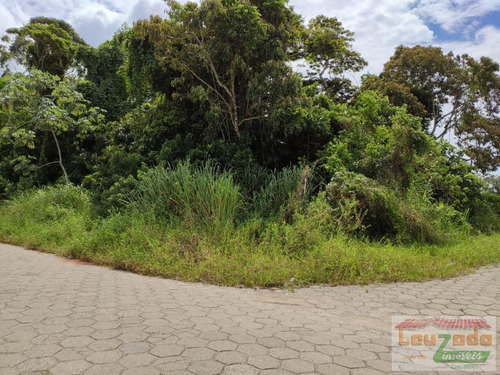 Terreno Para Venda Em Peruíbe, Sao Joao Batista - 2690_2-964683