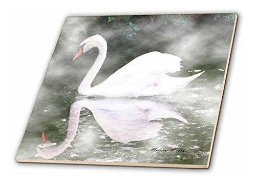 3drose Ct_6559_1 Cisne En El Azulejo De Niebla-fotografia-c