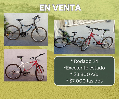 Bicicleta Rodado 24