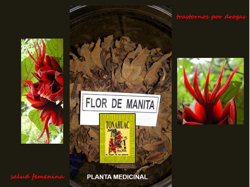 Te De Flor De Manita (125gr) Nervios Env Gratis Pl Seca  