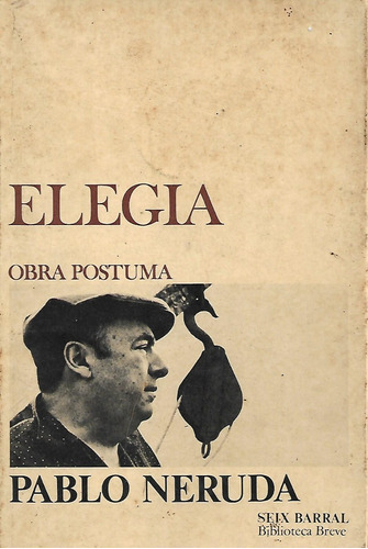 Elegia Pablo Neruda