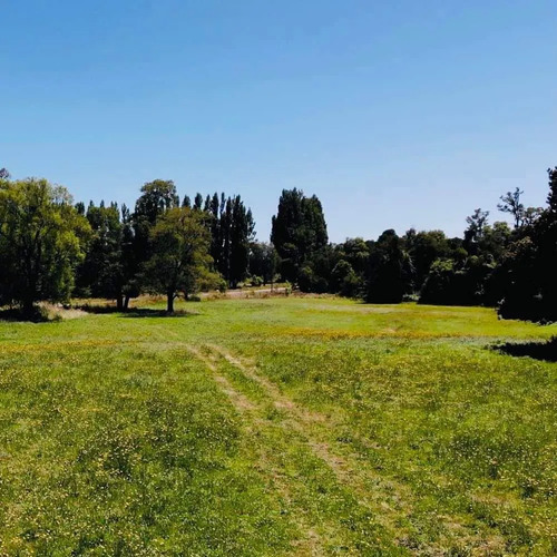 Parcelas En Frutillar, Bosques Y Praderas. Financiamiento