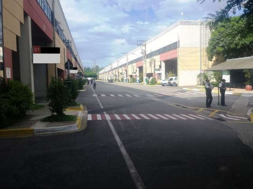 Imagem 2 de 5 de Galpao - Ga00929 - 2812037