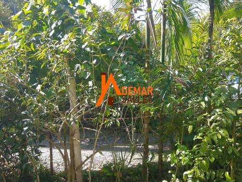Chacara - Ch00070 - 68404951