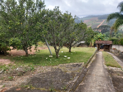 Imagem 17 de 29 de Oportunidade Chacara Biuna 2.000 M Casa,pomar,horta E Murada