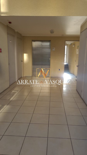 Arriendo Departamento 3 Dormitorios Valle Santa María
