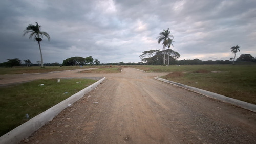 Solar En Venta En Carretera Las Cejas