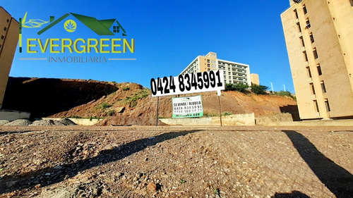Imagen 3 de 4 de Terreno En Venta En Lechería, Zonificación R-6. Mercedes Ron 04248345991