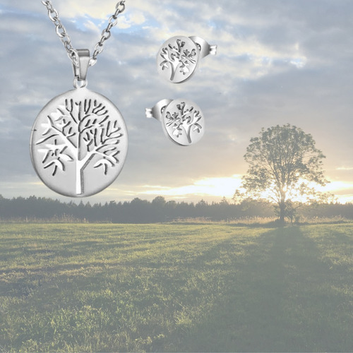 Imagen 8 de 8 de Conjunto Collar Aretes Dije Árbol De La Vida Cadena Acero