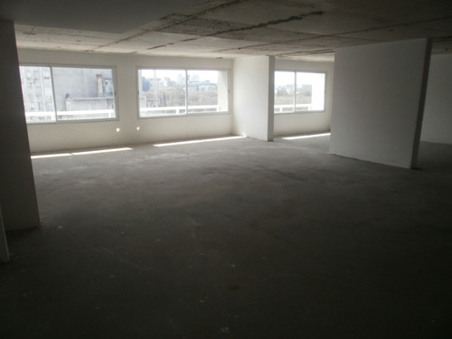 Edificio A Estrenar, Se Alquila U$s 14/m2 Todo Un Piso En Gris O Fracciones, A Negociar