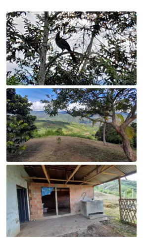 Venta De Finca De 8500mt2 En Dagua, Valle Del Cauca 6060.
