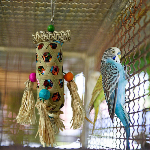 Juguete De Jaula Colgante Para Loros, Juguete Interactivo