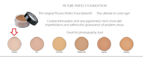 Make Up Picture Perfect Foundation Julio Cosmetics Tonos