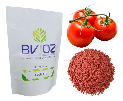 comprar Semillas Jitomate Guaje Para Germinación, Cultivo 1 Lb