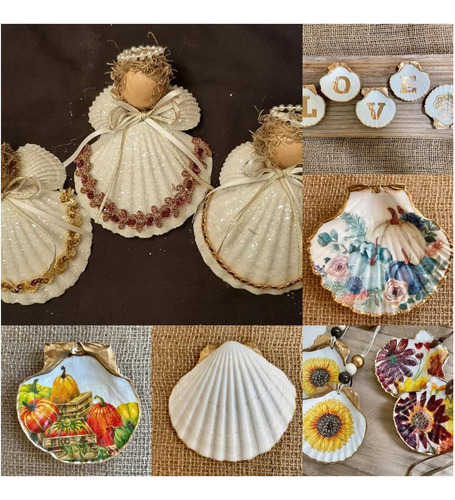 Conchas De Vieira, Conchas De Mar Blancas, Manualidad...