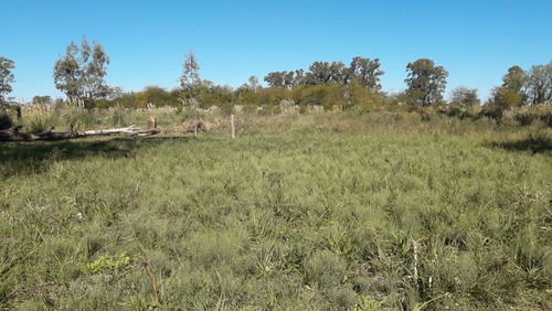 Imagen 11 de 13 de Excelente Lote 500 Mts Venta Mariano Acosta Merlo