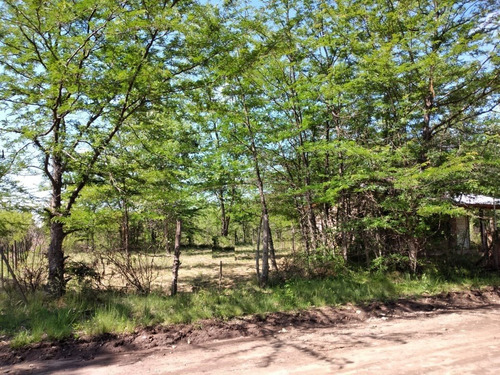 Imagen 1 de 2 de Hermoso Terreno De 412m2