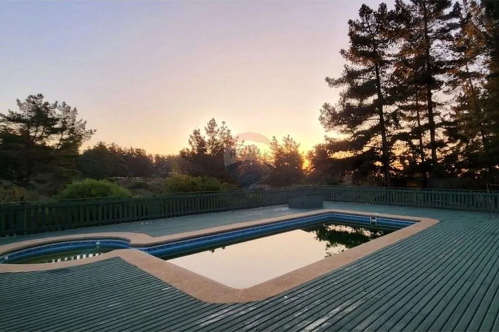 Imagen 2 de 19 de Casa Moderna Con Bosque Y Piscina Algarrobo