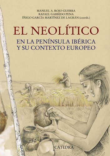 Libro Neolitico:peninsula Iberica Y Su Contexto Europeo De R