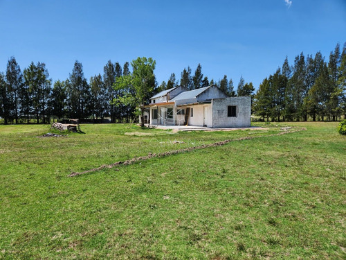 Imagen 15 de 30 de Chacra 5 Hs Con 2 Casas - Consulte !!! - Zona Rural Zona Rural