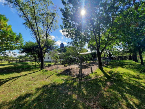 Imagen 25 de 30 de Campo Ganadero En Federal Entre Ríos
