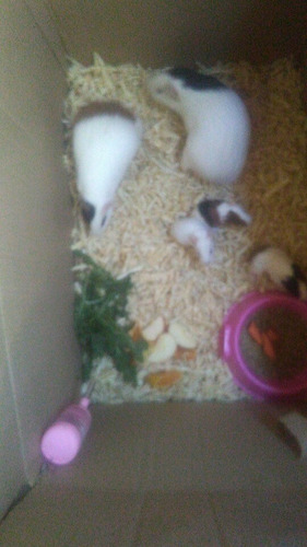 Imagen 4 de 7 de Cui Bebes
