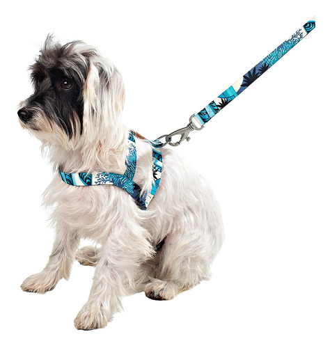 Imagem 5 de 6 de Conjunto Peitoral E Guia Gg Azul Noronha Toh Dog