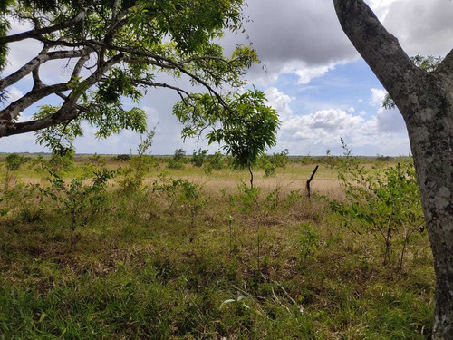 Se Vende Finca En Aribi, Via Al Sur De Monagas Ve02-554vs-dced