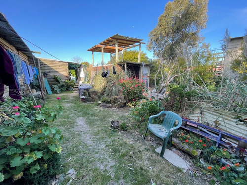 Imagen 10 de 23 de Venta 2 Casas 2 Dormitorios Balneario Buenos Aires Maldonado