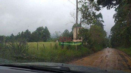 Imagem 2 de 11 de Terreno À Venda, 24500 M² Por R$ 300.000 - Centro - Biritiba-mirim/sp - Te3426