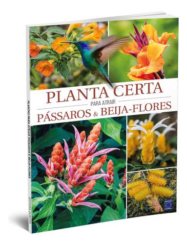 Super Kit - Planta Certa Para O Lugar Certo