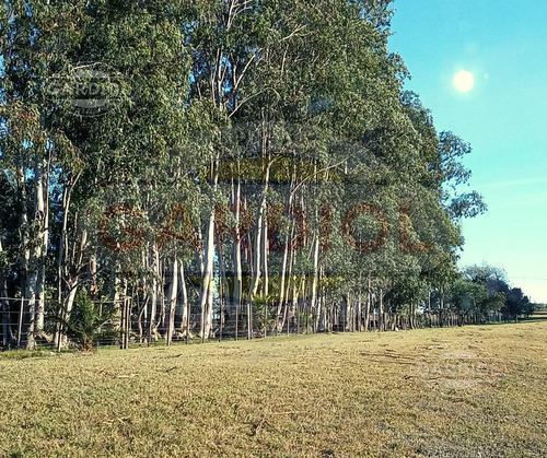 Venta De Chacra En Colonia