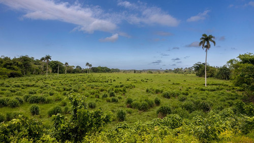 Terrenos En Venta A Minutos De La Playa En Lagunas De Nisibón, Oportunidad De Inversión, 407m2